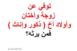 محامي يهودي في امريكا