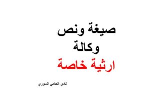 محامي عربي في هامبورغ