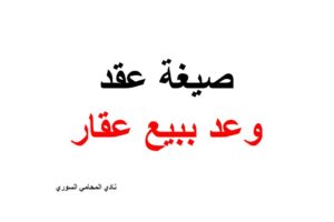 محامي عربي في فرانكفورت