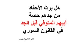 محامي يهودي في امريكا