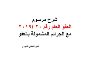 محامي سوري في برلين