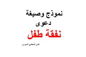 صيغة ونموذج دعوى نفقة طفل في القانون السوري