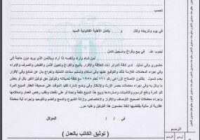 محامي عربي في هامبورغ