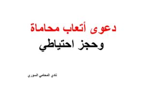 محامي عربي في فرانكفورت