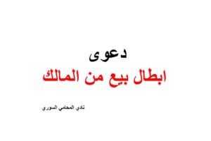 محامي عربي اسطنبول