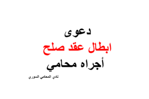 محامي عربي دوسلدورف