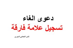 محامي عام