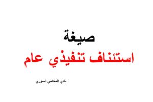 صيغة استئناف تنفيذي شامل عام
