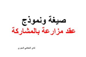 توكيل محامي مجانا في ألمانيا