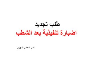 محامي سوري في برلين