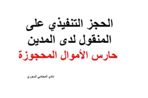 محامي سوري في مصر