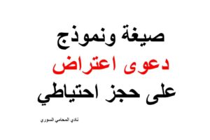 نموذج و نص صيغة  دعوى رفع الحجز احتياطي