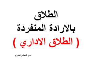 محامي عربي في هامبورغ