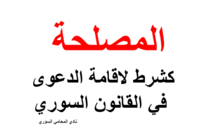 محامي يهودي في امريكا