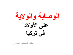 محامي عربي اسطنبول