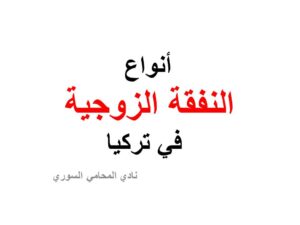 انواع النفقة الزوجية في تركيا