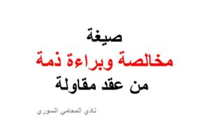 محامي سوري في برلين