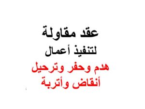 محامي سوري في برلين