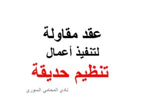محامي سوري في برلين