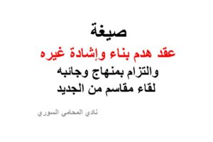 محامي سوري في برلين
