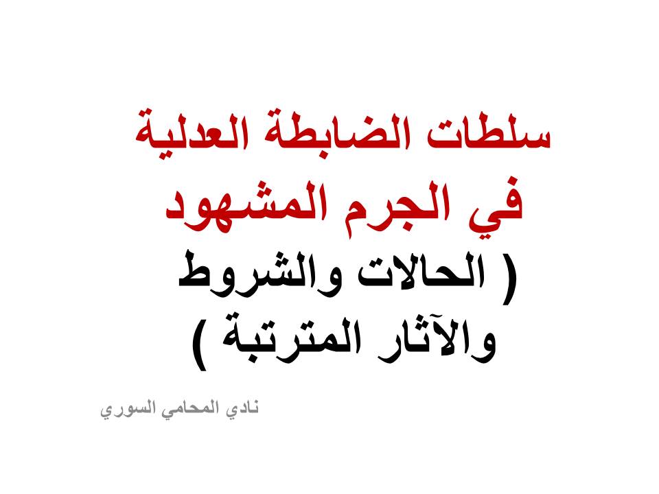 محامي سوري في برلين