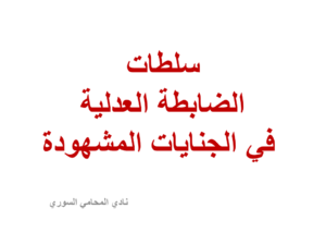 محامي سوري في برلين