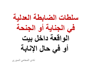 محامي سوري في برلين