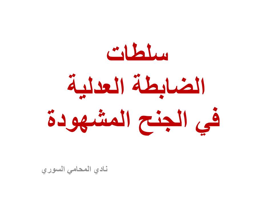 محامي سوري في برلين