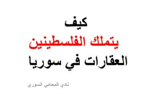محامي عربي في فرانكفورت