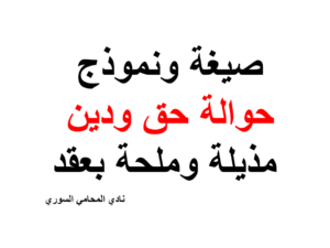 دليل المحامين العرب في برلين