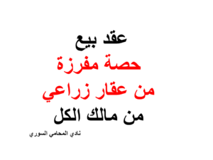 ارقام هواتف محامين عرب في المانيا