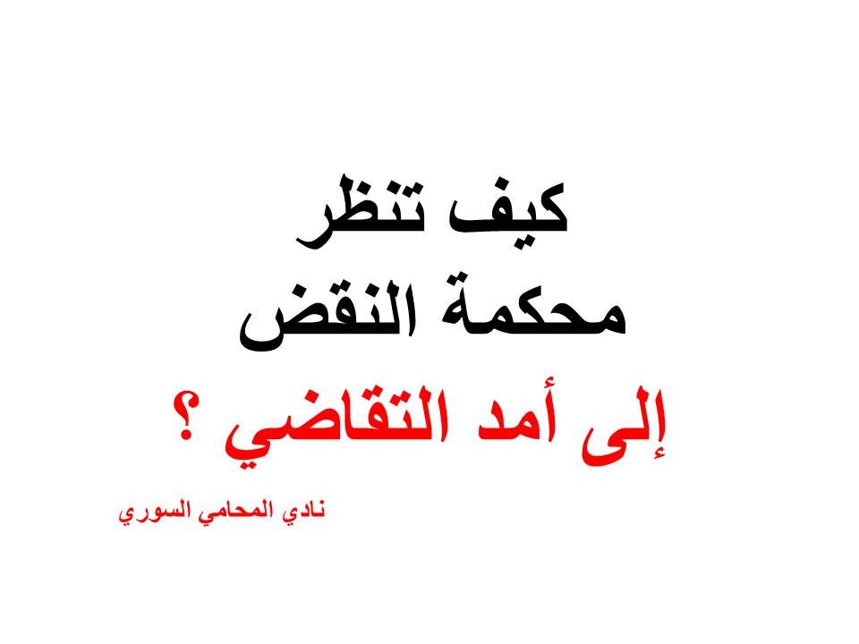 محامي سوري في برلين
