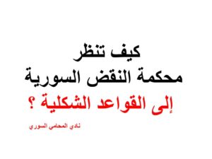 محامي سوري في برلين