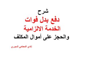 محامي سوري في برلين