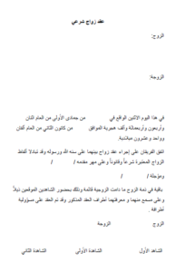 محامي سوري في برلين