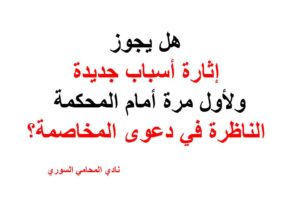 هل يجوز إثارة أسباب جديدة ولأول مرة أمام المحكمة الناظرة في دعوى المخاصمة؟