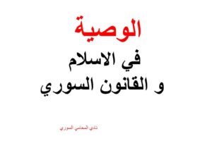 محامي, استشارة قانونية