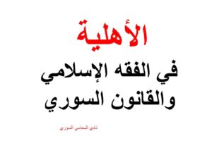 محامي, استشارة قانونية