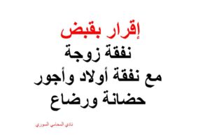 استشارات قانونية