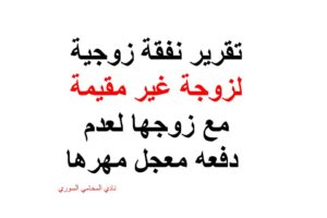 استشارات قانونية