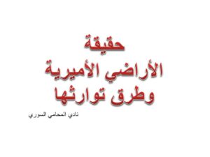 محامي, استشارة قانونية