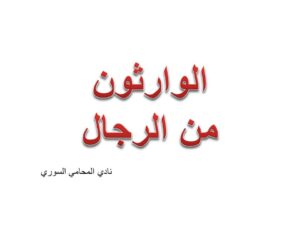 محامي, استشارة قانونية