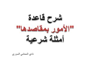 محامي, استشارة قانونية