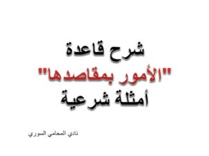 محامي, استشارة قانونية
