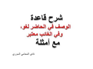 المحامي السوري