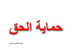 حماية الحق