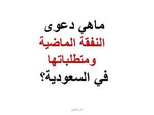 دعوى النفقة في السعودية